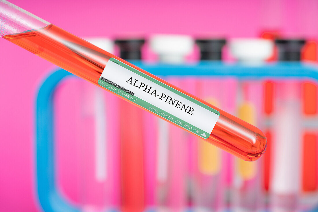 Alpha-pinene volatile compound, conceptual image