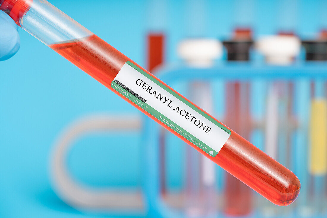 Geranyl acetone pheromone, conceptual image