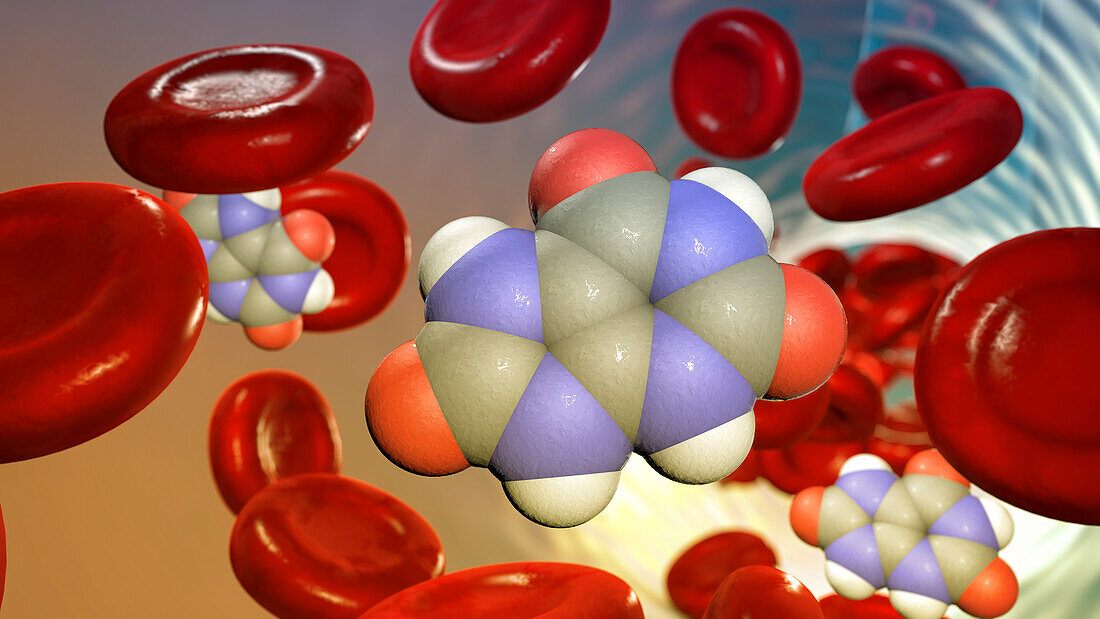 Uric acid molecule in blood circulation, illustration
