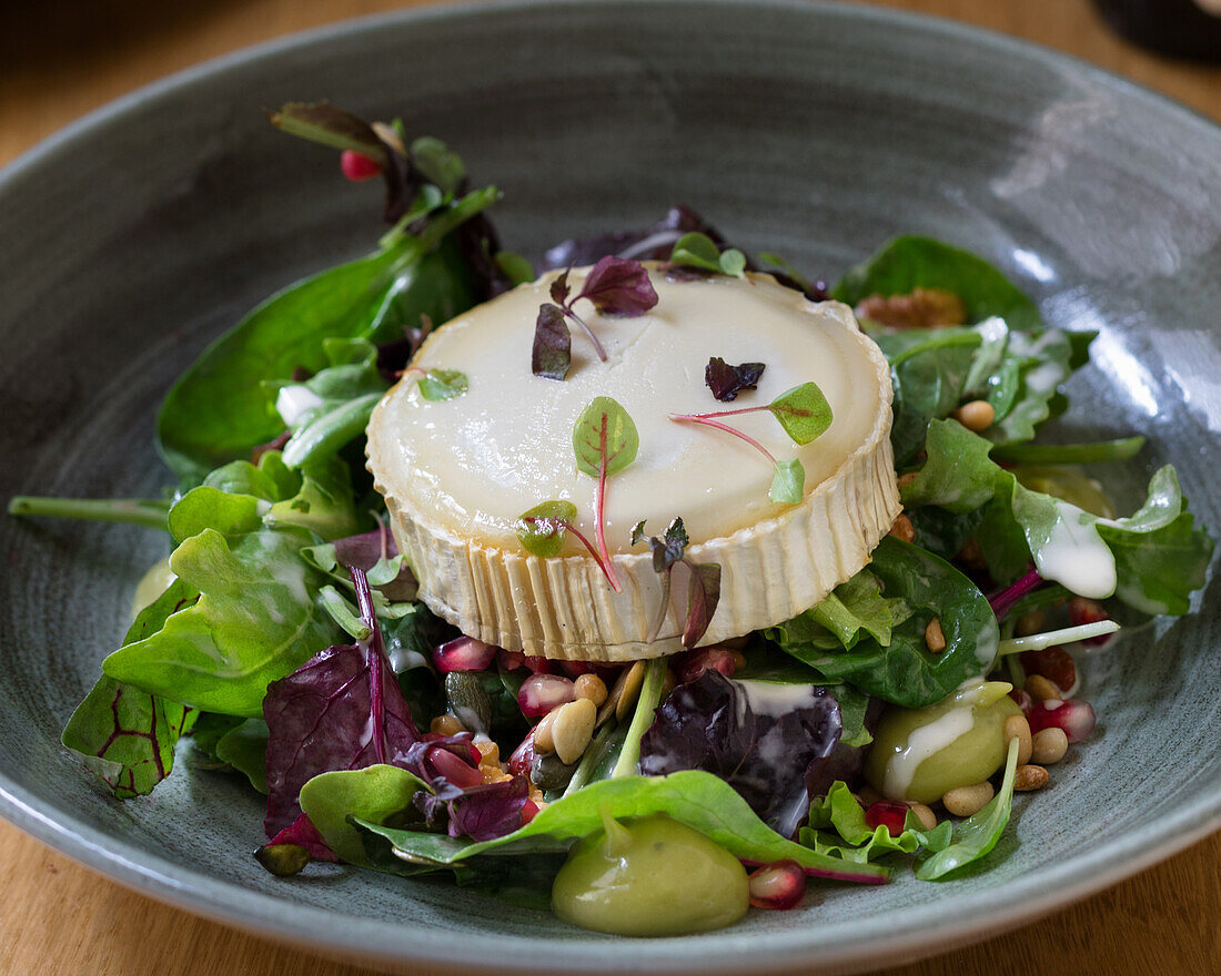 Goat's cheese on a leaf salad with pine nuts and dressing