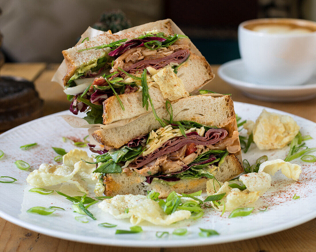 Pastrami sandwich with cheese, chicken and salad