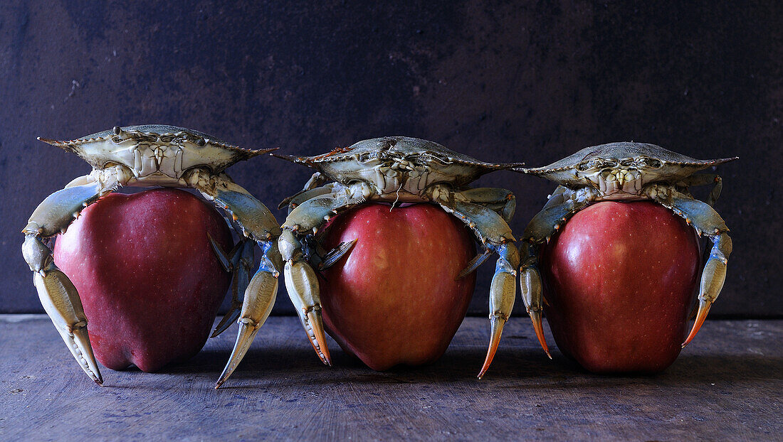 Three live crabs on red apples