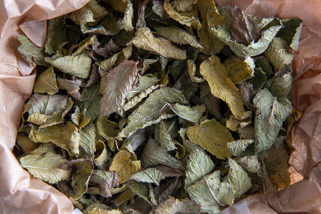 Getrocknete marokkanische Minzblätter für Tee