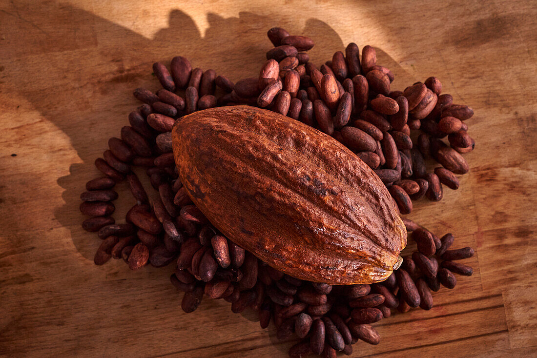 Cocoa fruit and cocoa beans on a wooden base