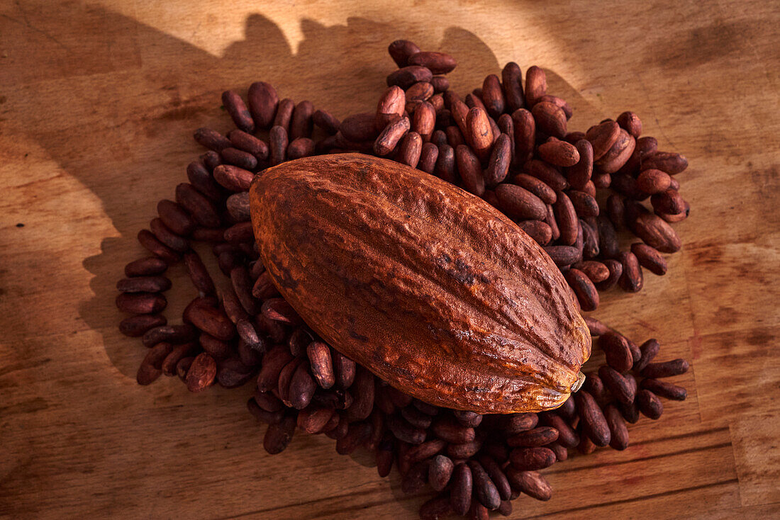 Kakaofrucht und Kakaobohnen auf Holzuntergrund