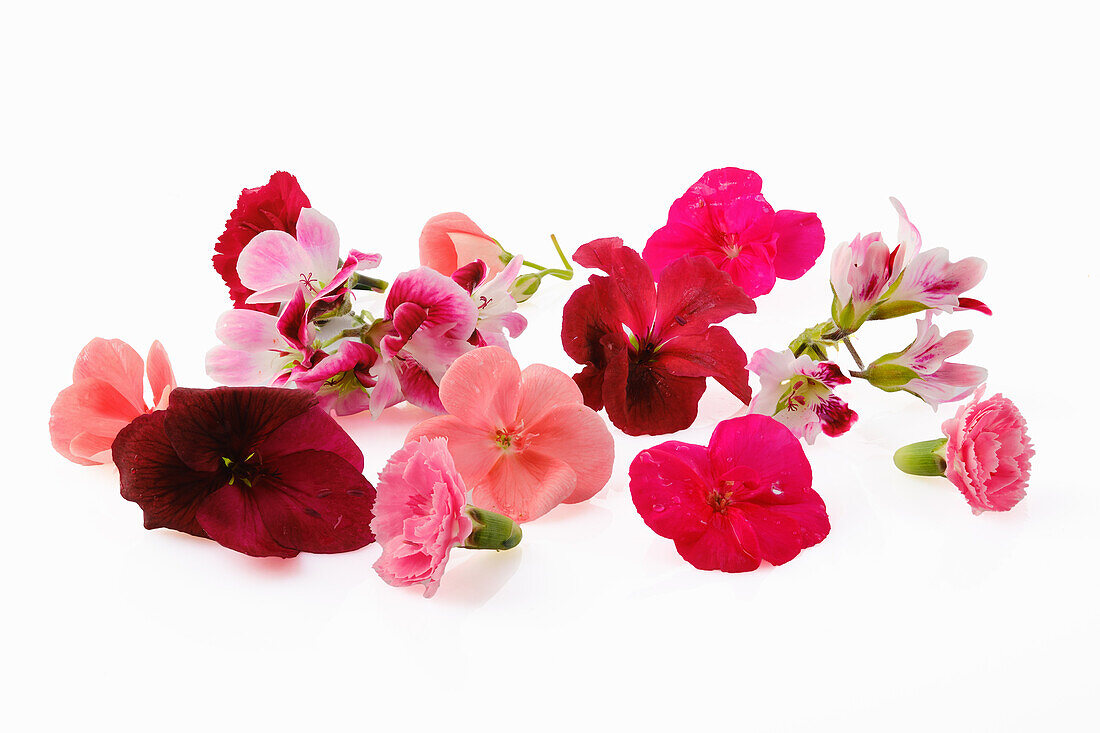 Edible red and pink flowers