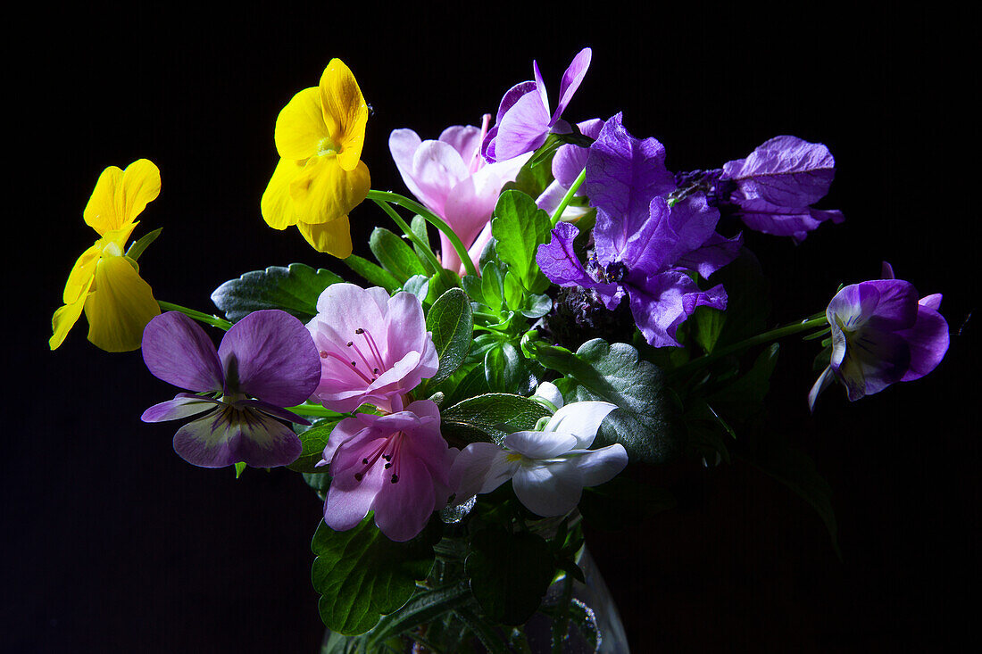 Composizione di fiorellini, viole del pensiero e azalee in un vaso di vetrocon fogliame.