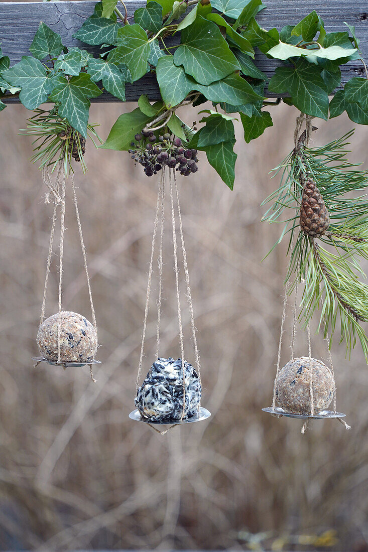 Upcycling titmouse dumpling holder made from a metal drain sieve hanging from a beam in the garden, DIY