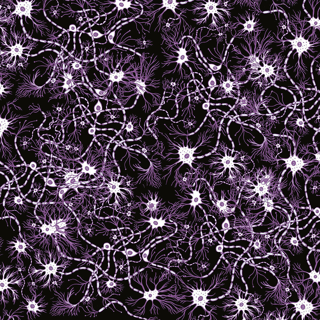 Neurons, conceptual illustration