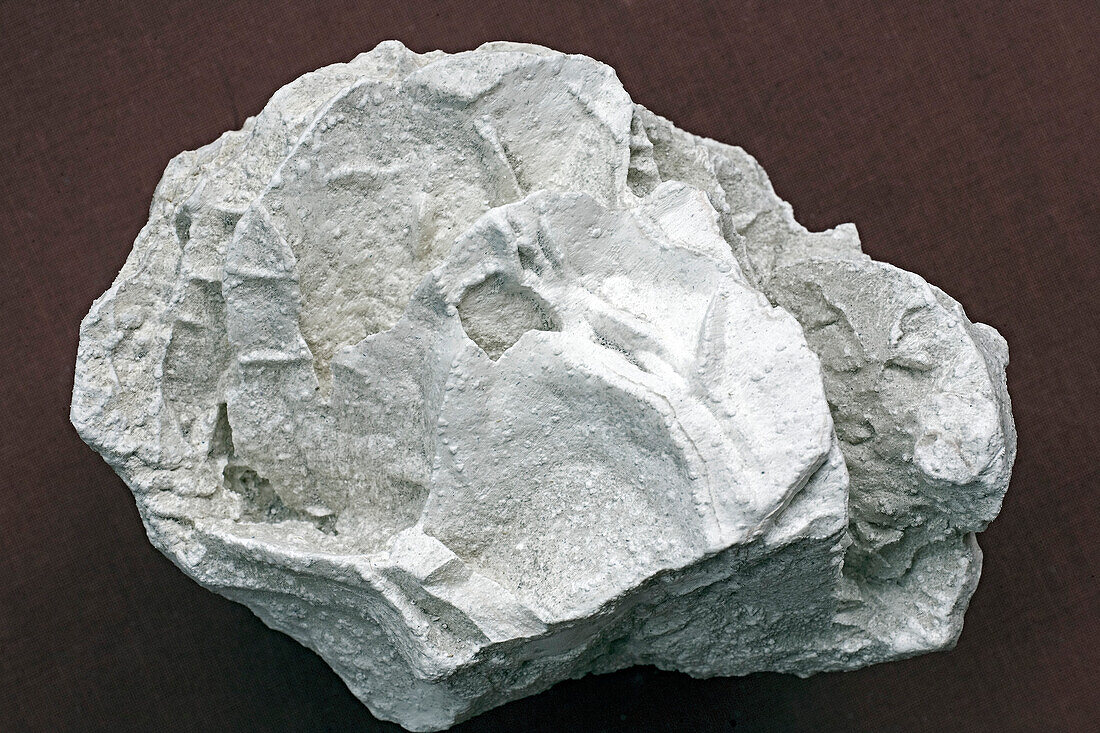 Boracite