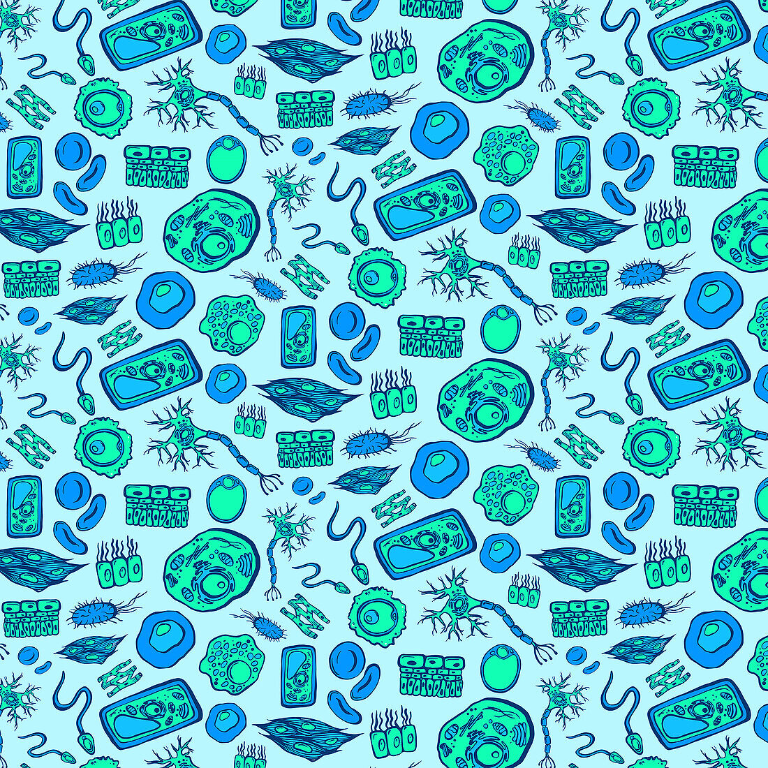 Cells, conceptual illustration