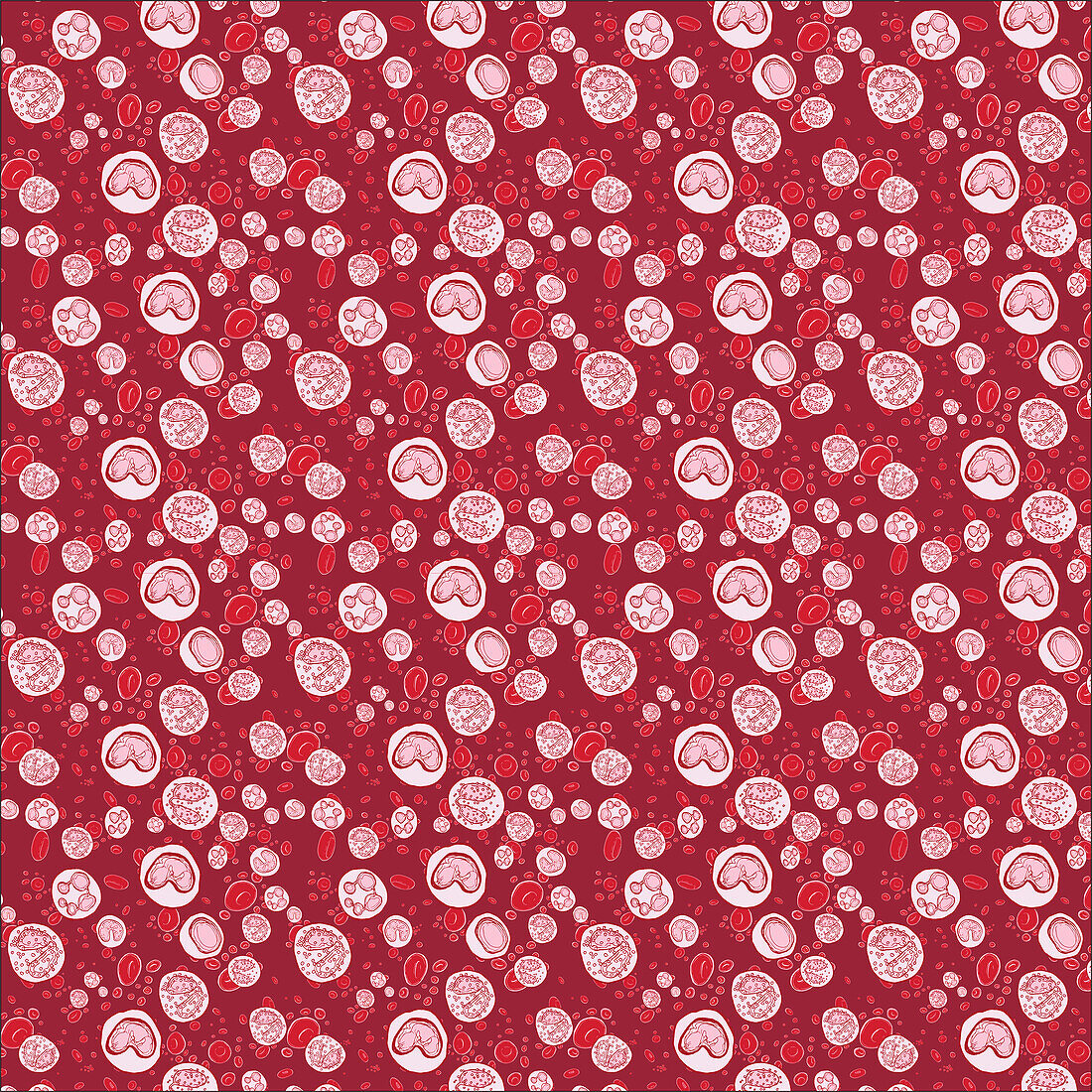 Red and white blood cells, conceptual illustration