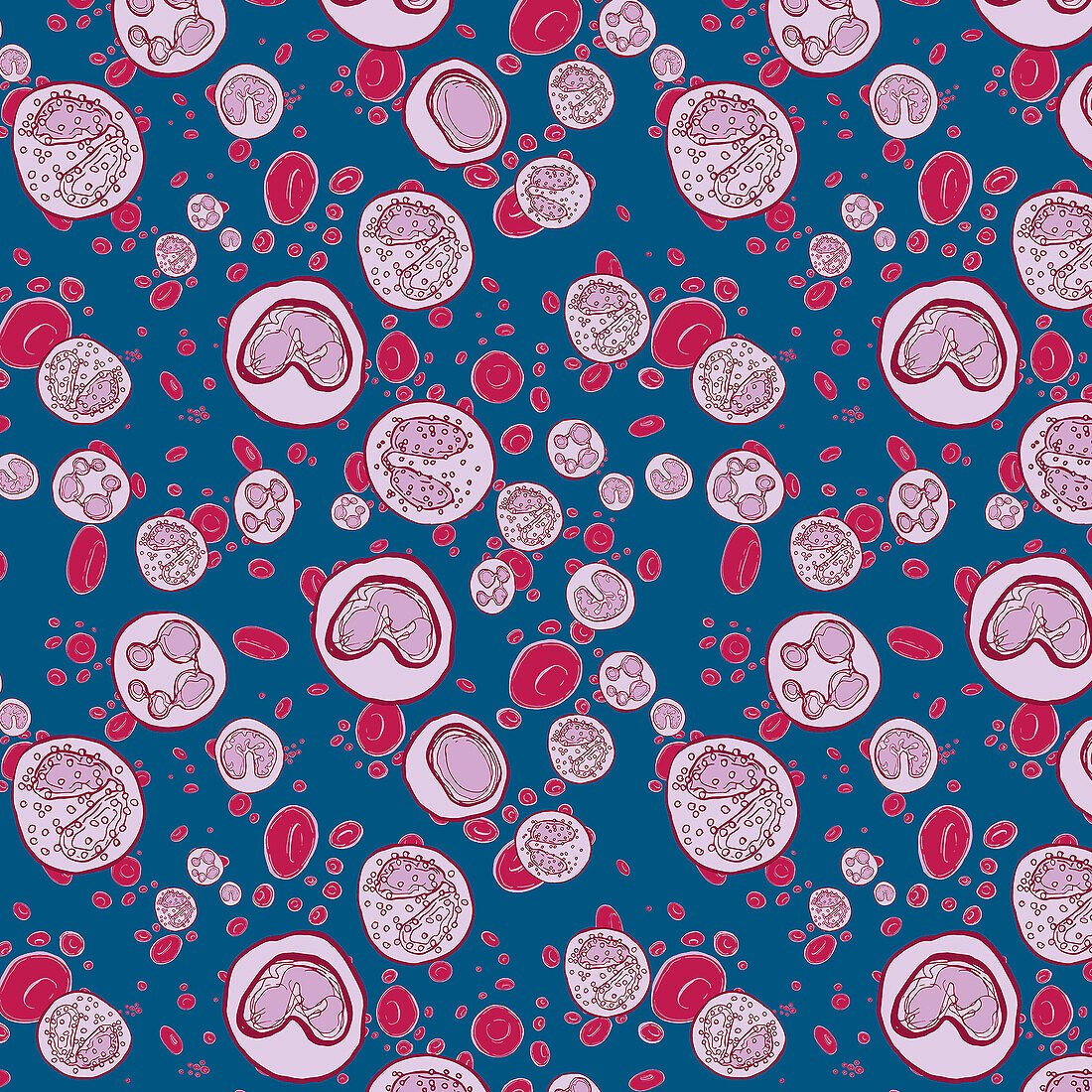 Red and white blood cells, conceptual illustration