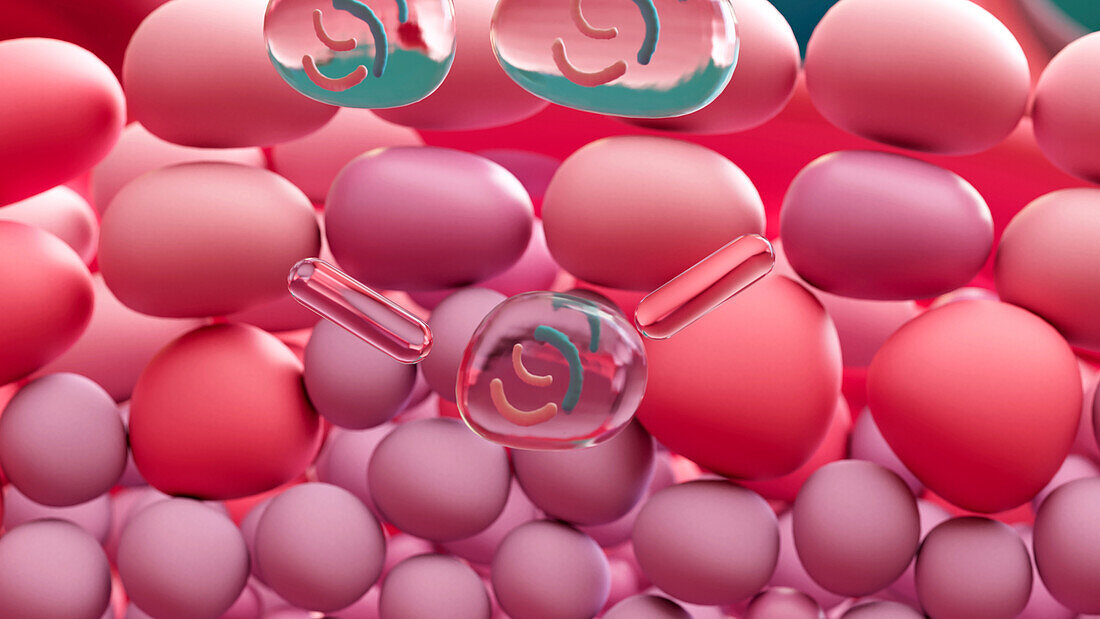 Stem cells dividing during sperm production, illustration