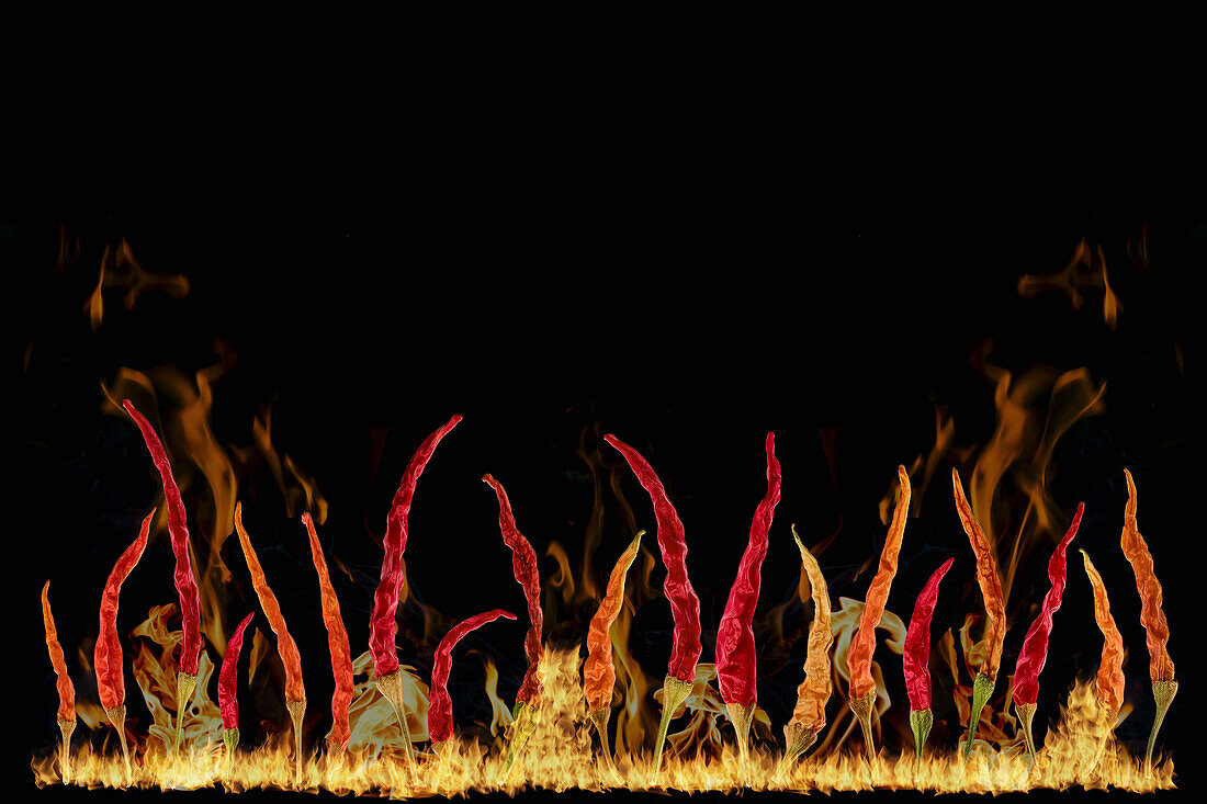 Chilli peppers with flames against a black background