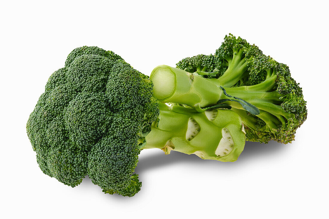 Broccoli against a white background