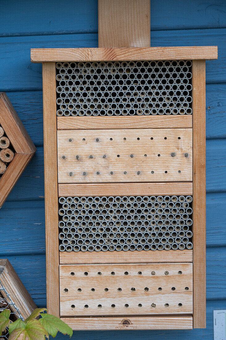 Insektenhotel in der Hauswand, close-up