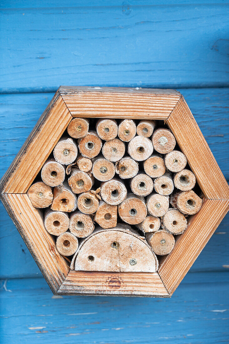 Insektenhotel in der Hauswand, close-up