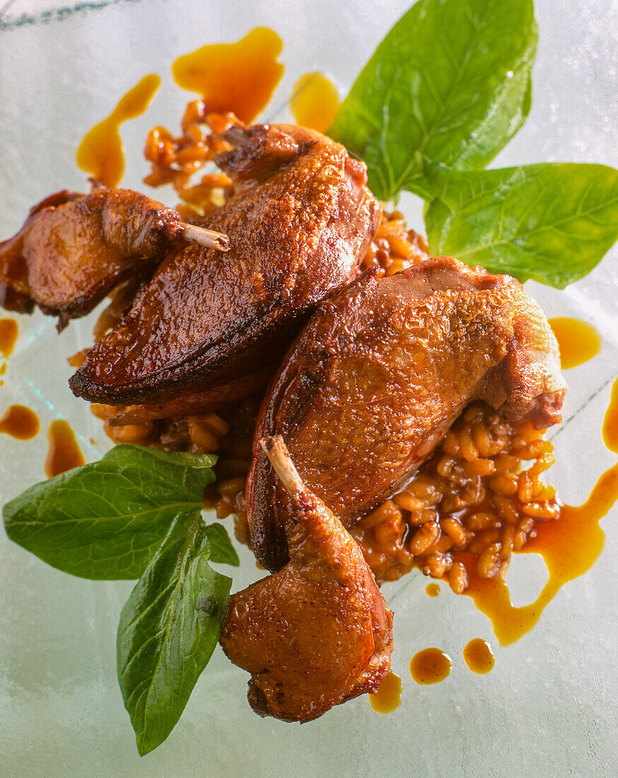 Gebratene Taube auf Risotto