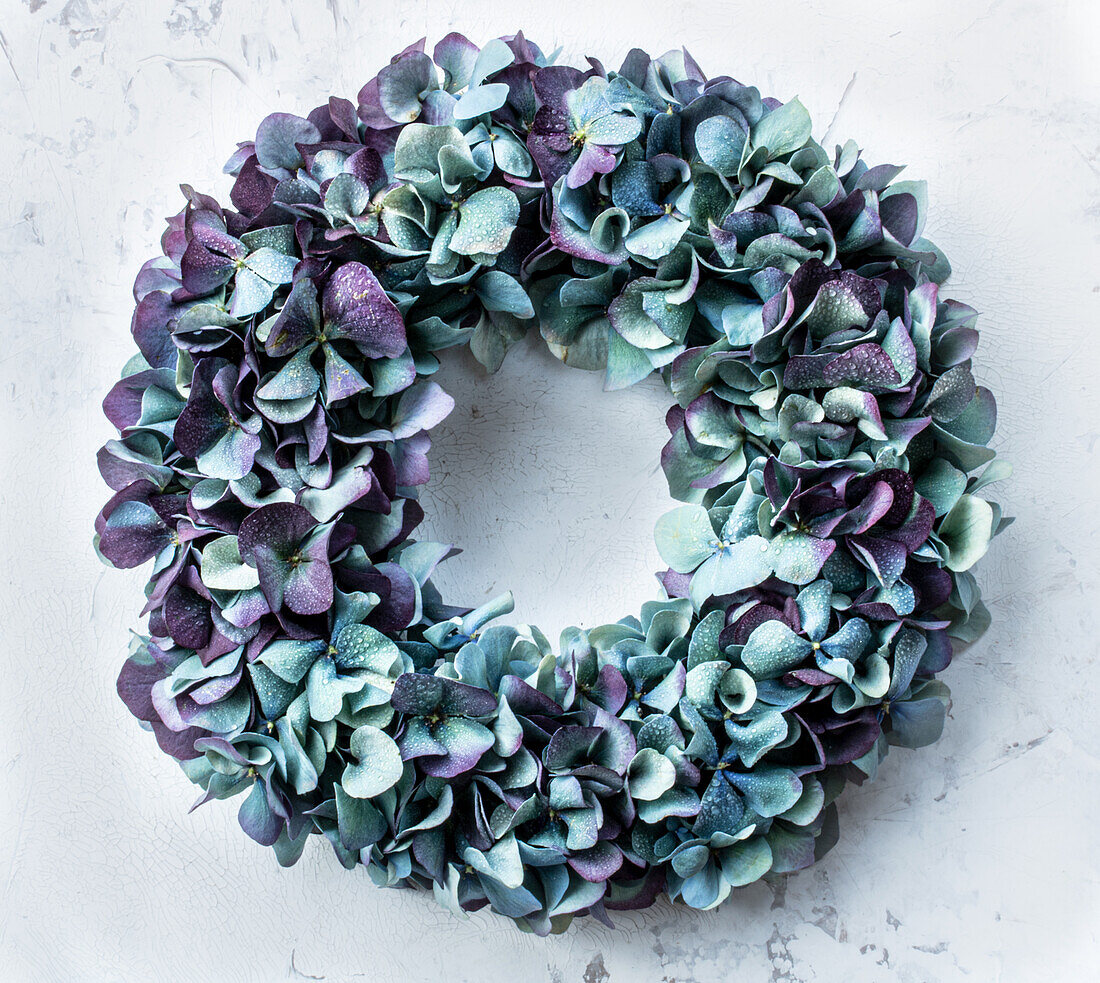 Summer floral wreath of blue hydrangeas (Hydrangea) against a light-coloured background