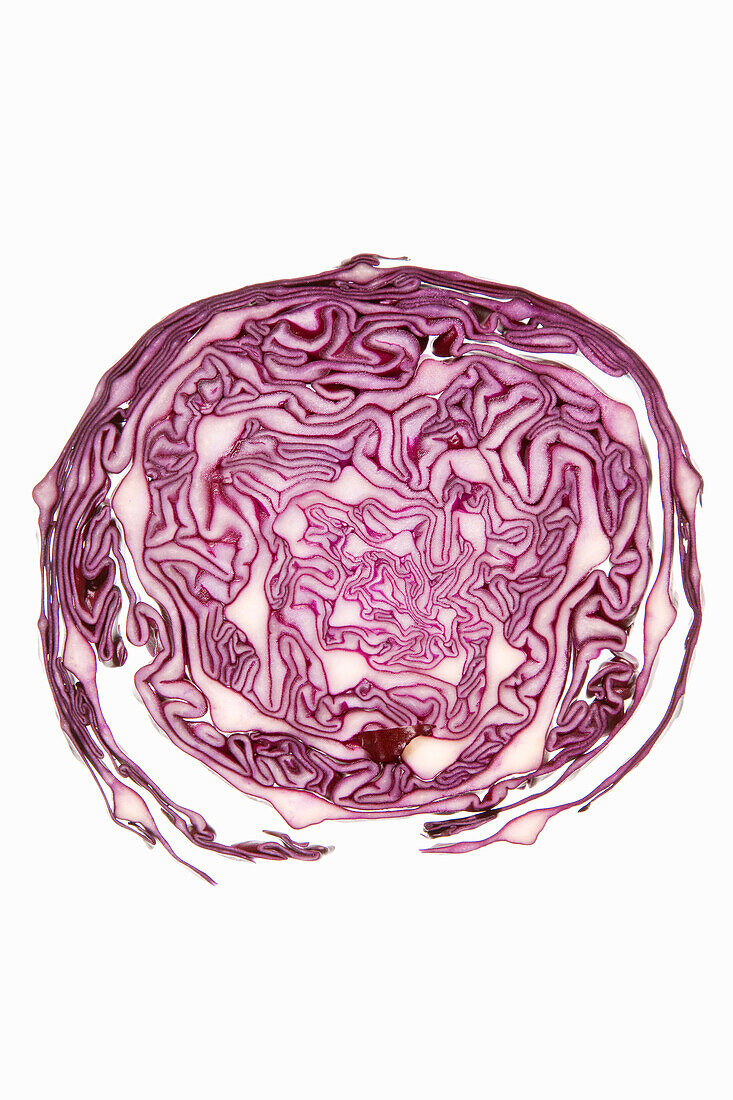 Sliced red cabbage on a white background