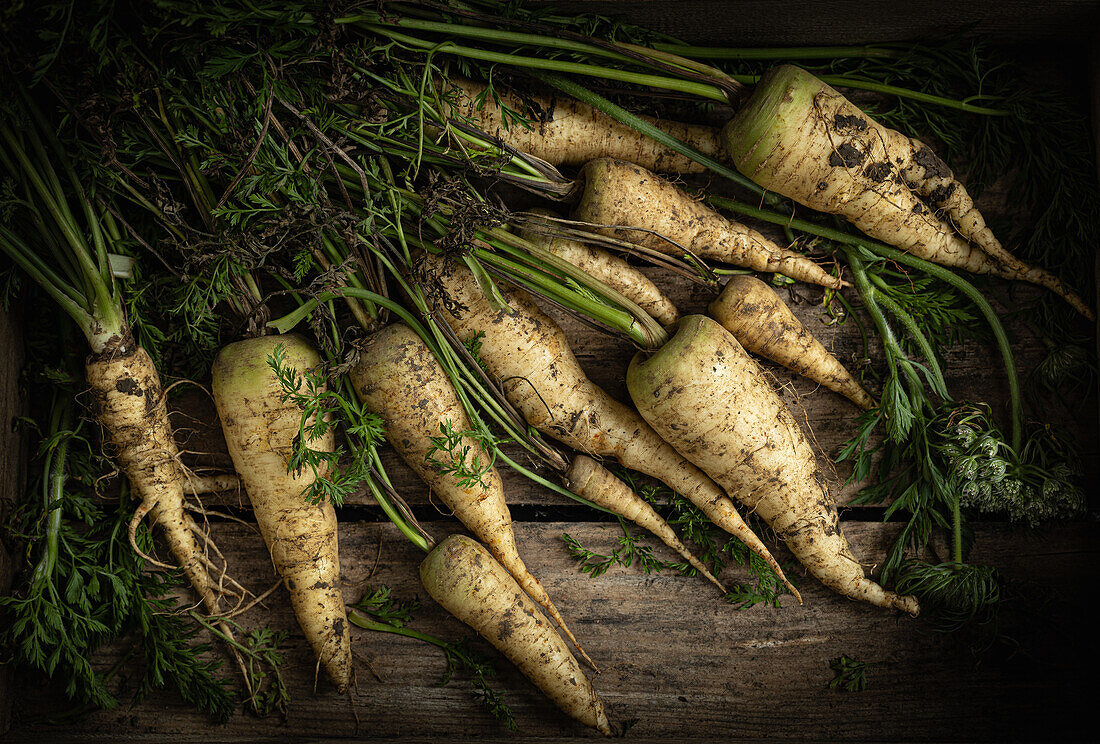 Küttiger carrot (Daucus carota) in a wooden crate, an old Swiss vegetable variety