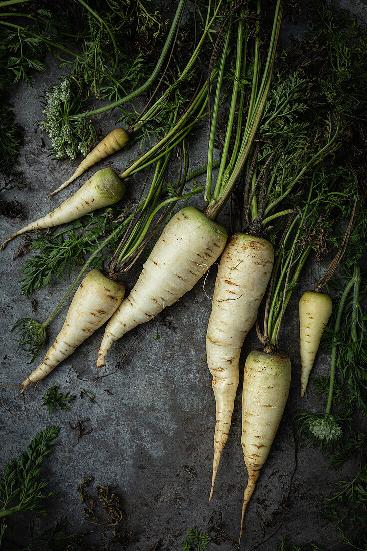 Küttiger Rüebli - old white carrot variety from Switzerland