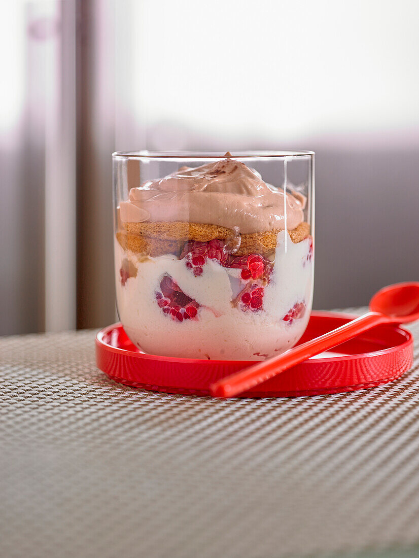 Raspberry and chocolate layered dessert