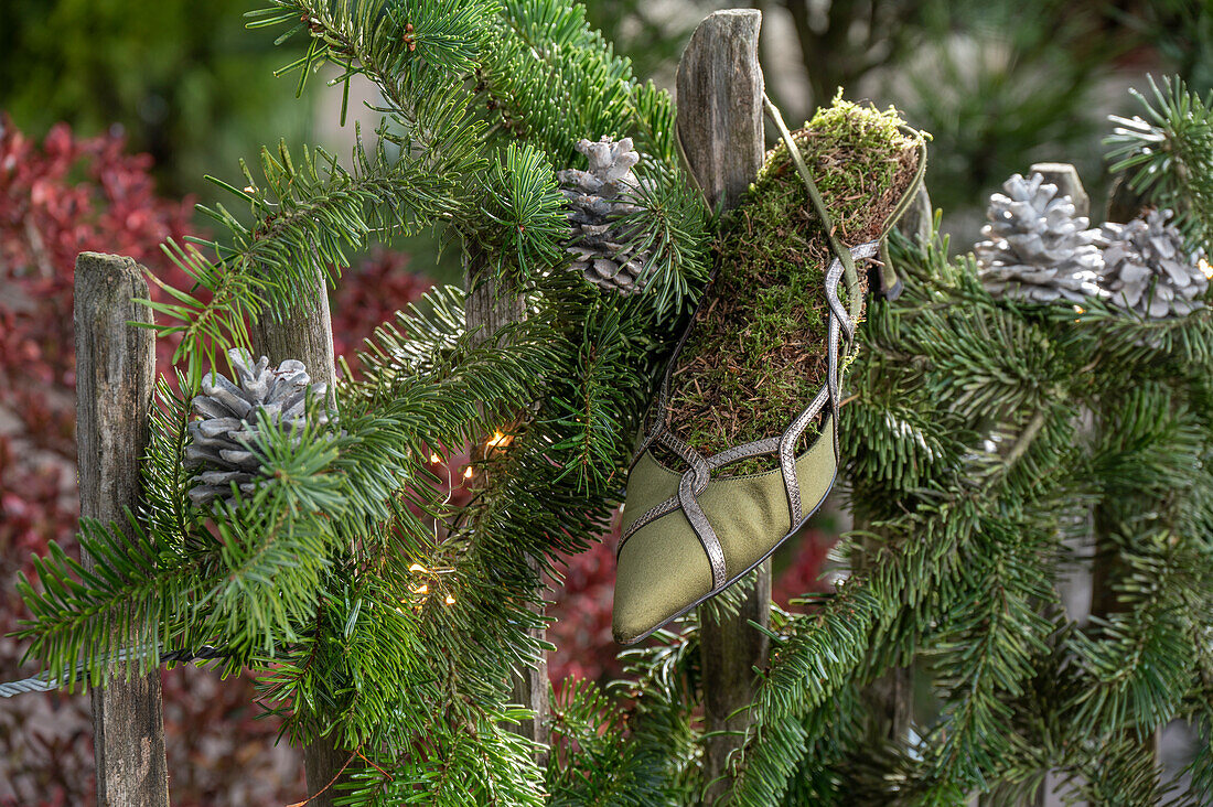 Märchensymbol, Aschenbrödel, eleganter Schuh mit Moos gefüllt auf Tannenzweige an Gartenzaun hängend, Deko