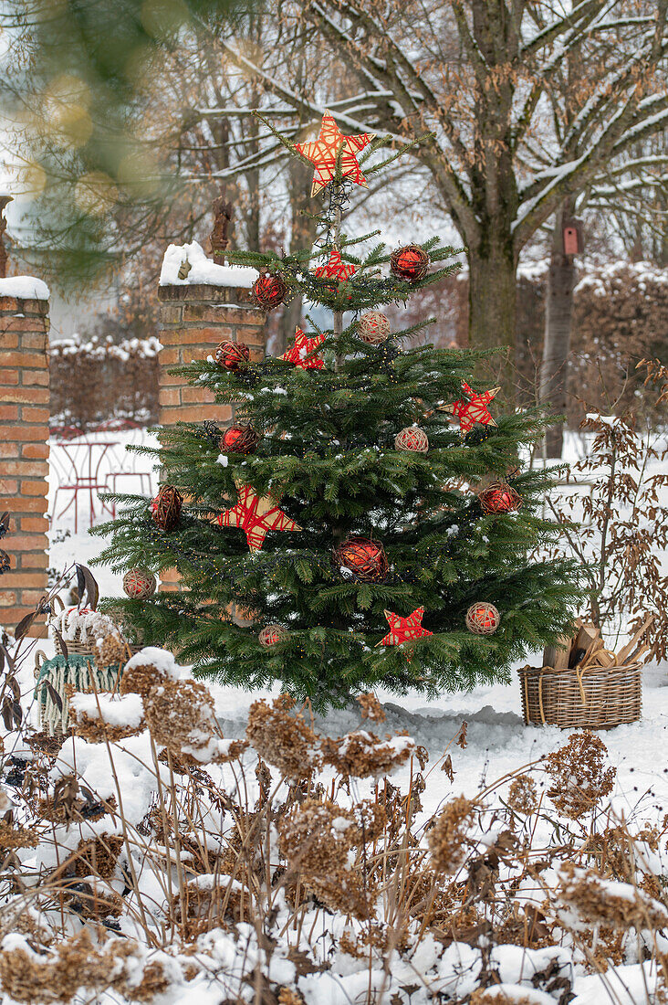 Geschmückter Christbaum im verschneiten Garten