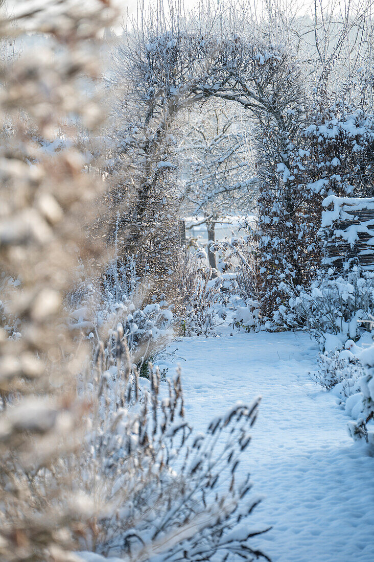 Verschneiter winterlicher Garten mit Rankbogen