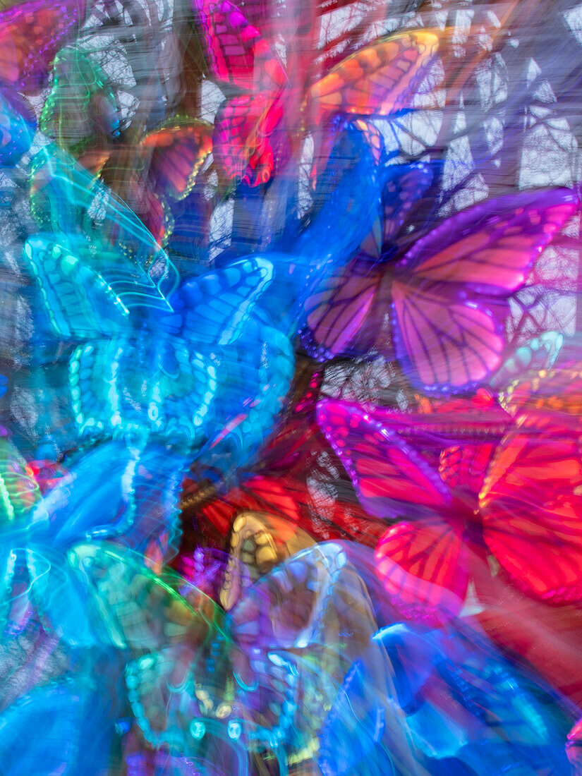 Arrangement of colorful artificial butterflies.