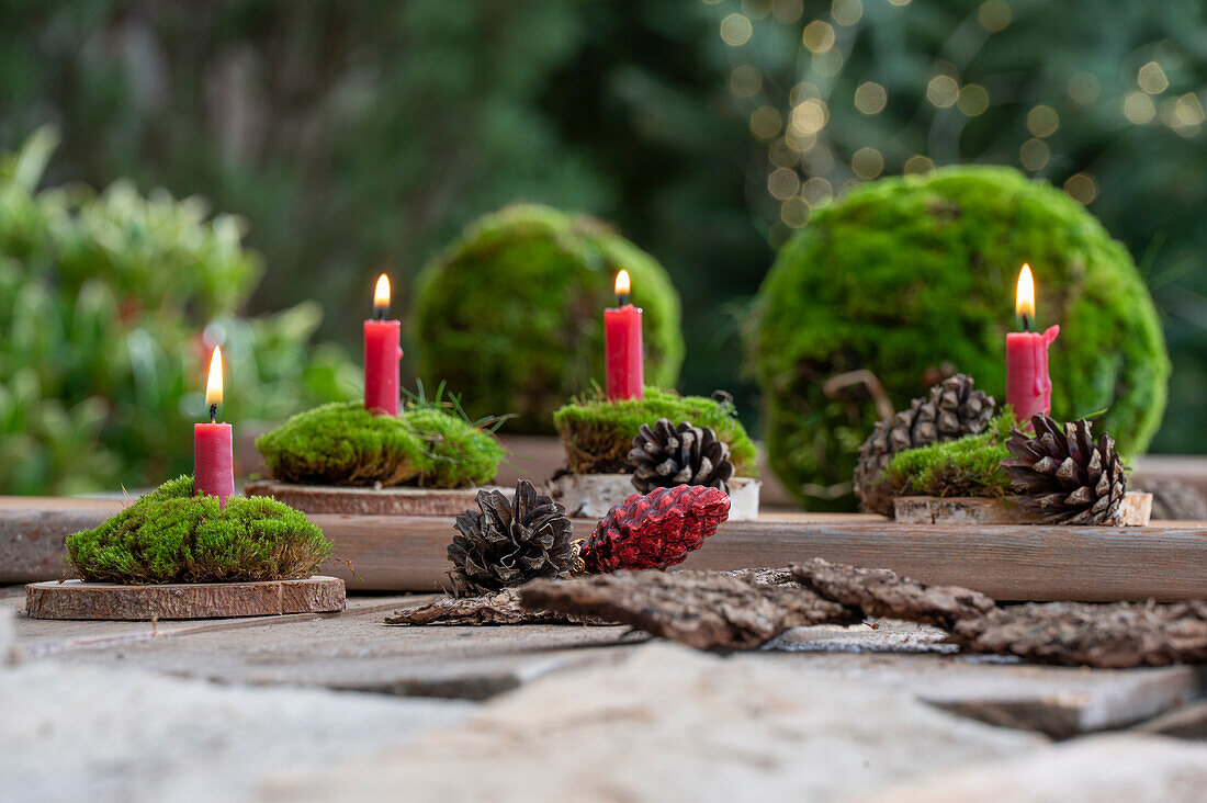 Vier Kerzen auf Baumscheiben mit Moos und Zapfen dekoriert, Adventsdeko