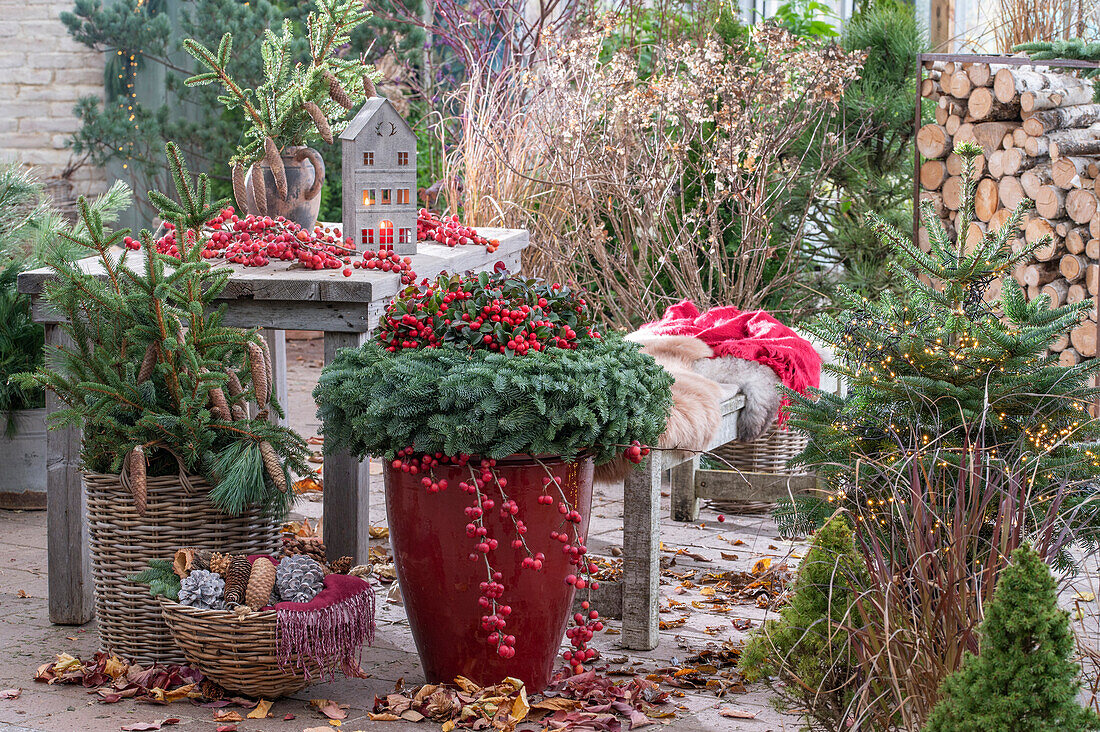 Weihnachtsbasteln auf der Terrasse, Adventskranz aus Tannenzweigen, roten Beeren des Zierapfels, Fichtenzweige, Fichte mit Lichterkette und Zapfen im Korb