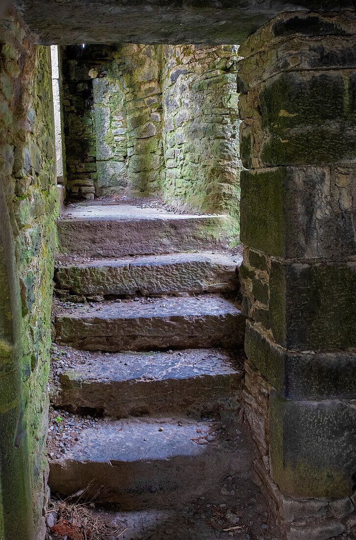 Kloster Ross Errily. Gelegen in der Grafschaft Clare, Irland. Diese alte Treppe führt zu einem Raum, der kein Dach mehr hat.