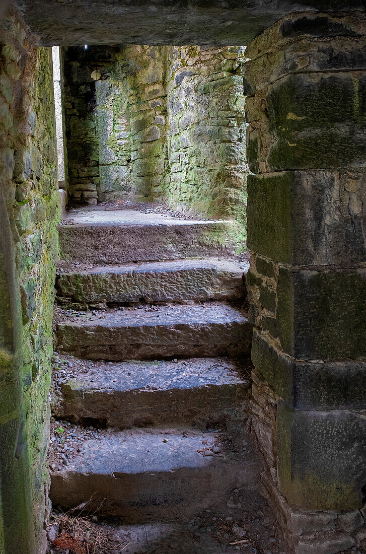 Ross Errily Friary. Located in County Clare, Ireland. These ancient stairs lead to a room that no longer has a roof.
