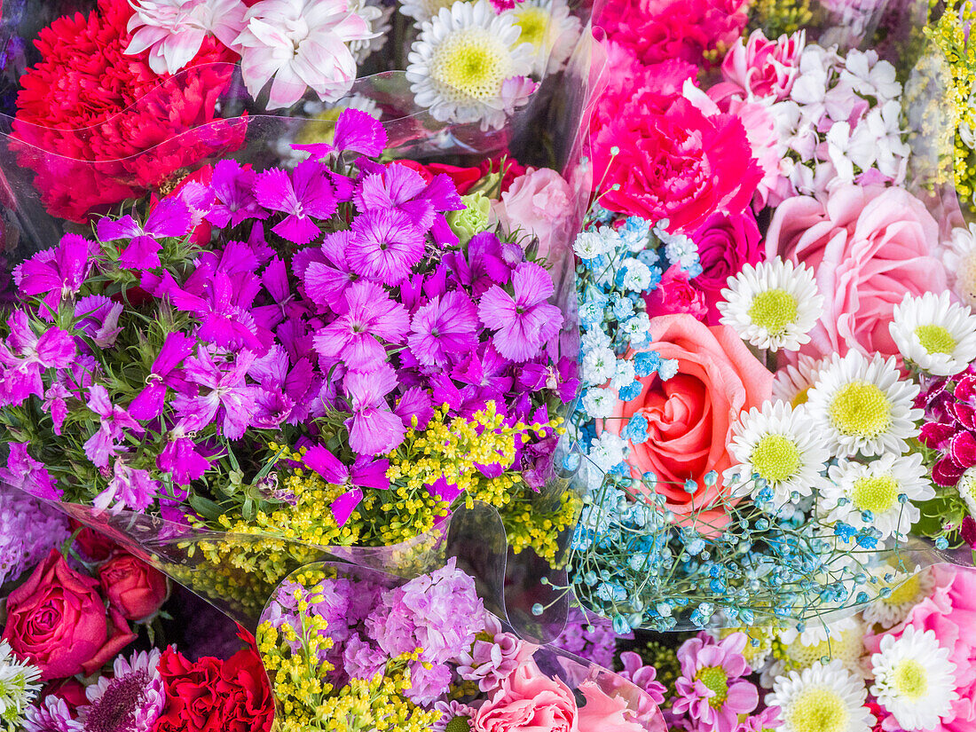 China, Hong Kong. Flower market.