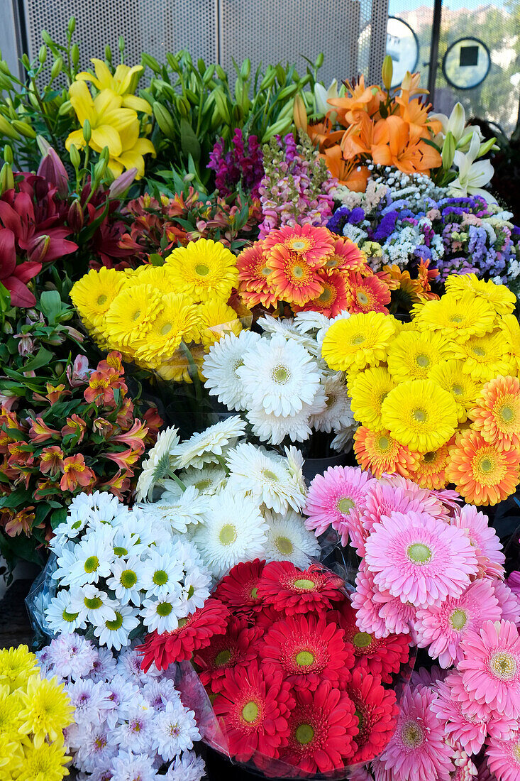 Lisbon, Portugal. Flower stall at Rossio Square