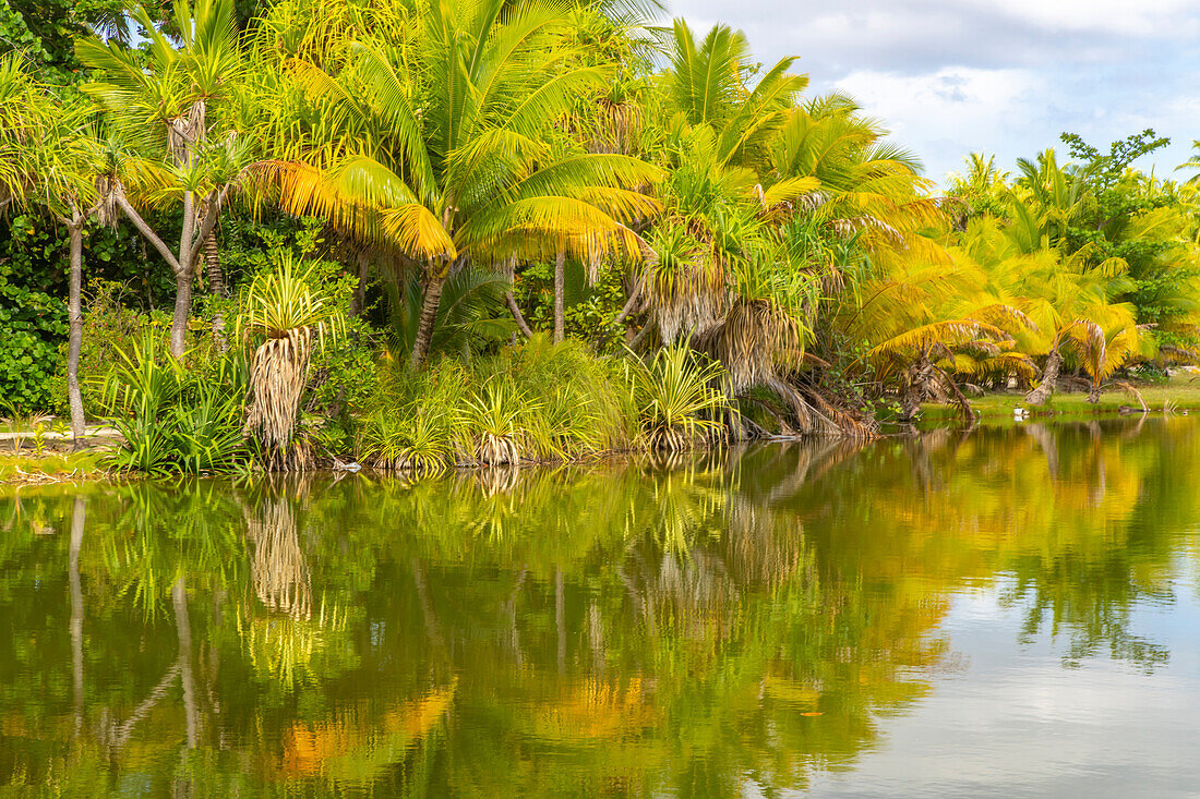 Französisch-Polynesien, Taha'a. Tropische Lagune und Dschungel.