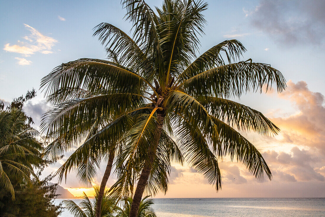 Französisch-Polynesien, Moorea. Sonnenuntergang über Insel und Meer.