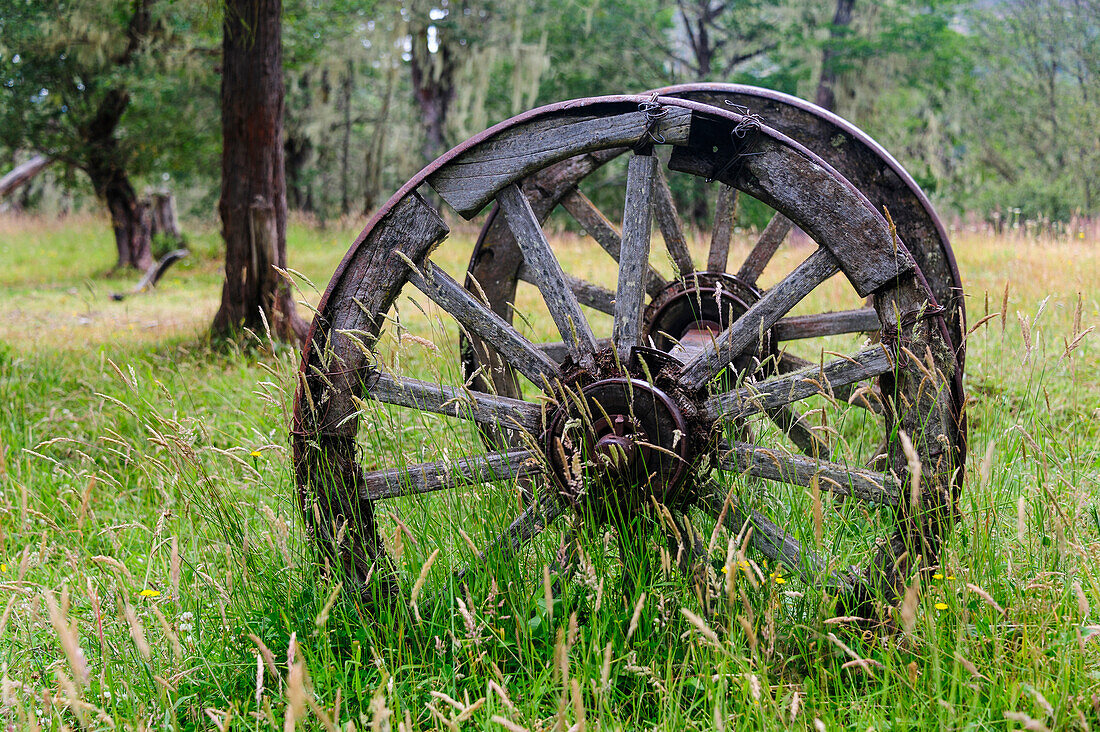 Chile, Aysen, Rio Baker. Old wooden wagon wheels.