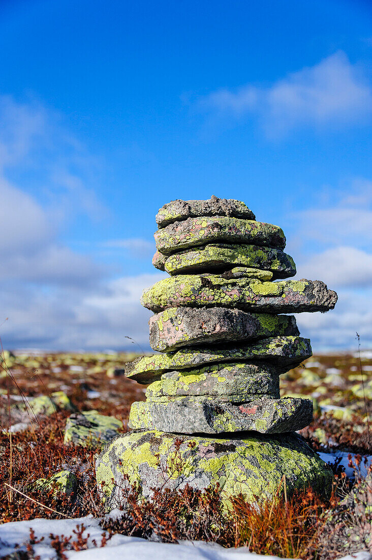 Schweden, Bezirk Dalarna, Fulufjallet-Nationalpark. Mit Flechten bewachsener Steinhaufen, der einen alten Weg markiert.