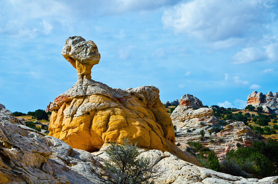 USA, Arizona, Vermilion Cliffs National Monument. Weiße Tasche, wirbelnde, vielfarbige Formationen aus Navajo-Sandstein