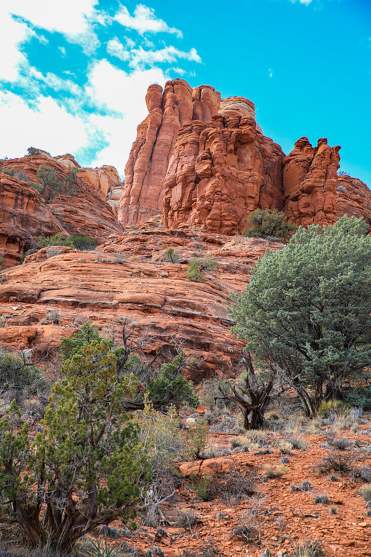 Sedona, Arizona, USA. Rote Felsformationen