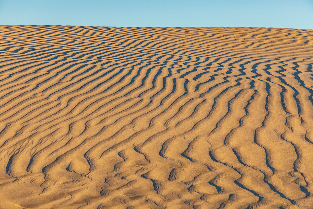 Guerrero Negro, Mulege, Baja California Sur, Mexiko. Sanddünen bei Sonnenuntergang an der Westküste.