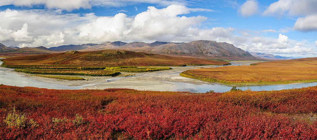 USA, Alaska, Noatak National Preserve. Autumn colors at the confluence between Noatak and Niniuktuk Rivers.
