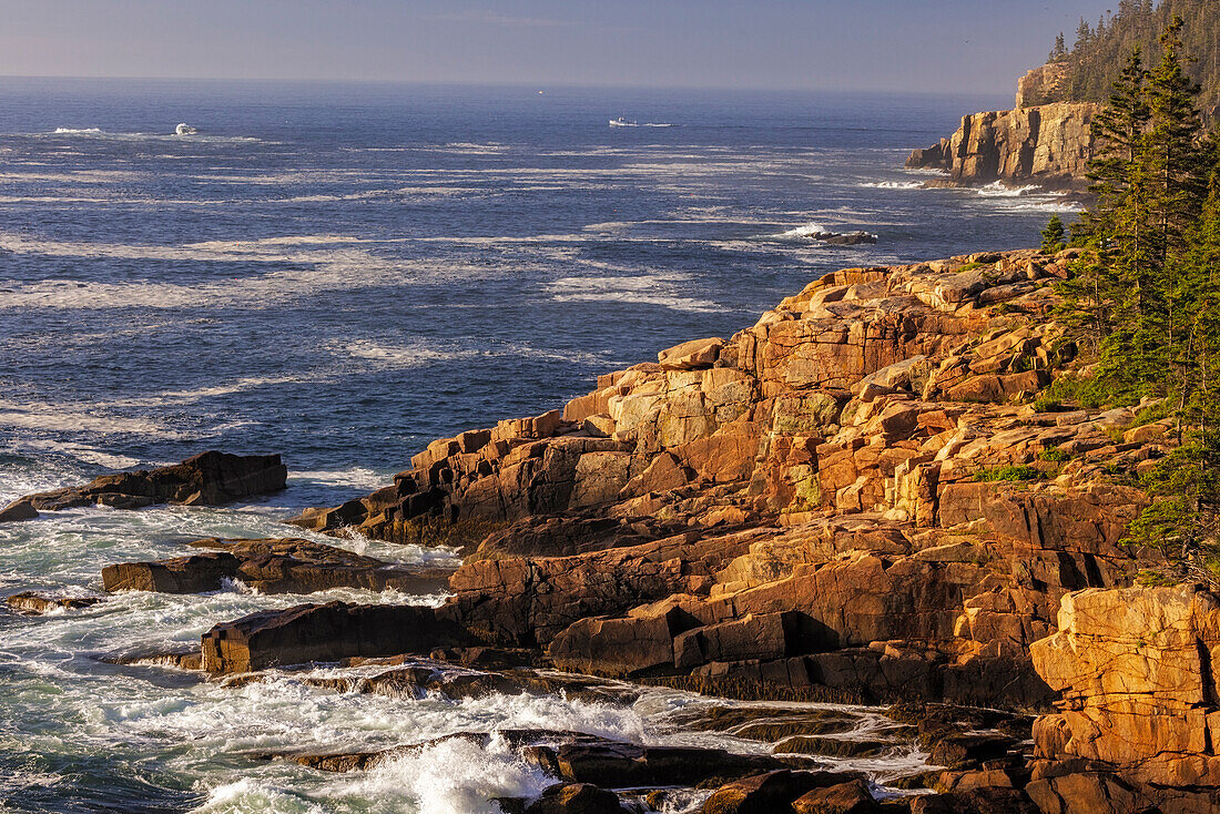 Otter Cliffs at sunrise in Acadia National Park, Maine, USA