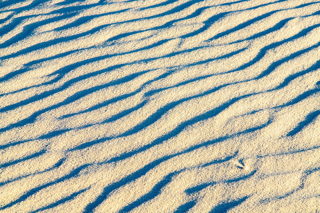 USA, New Mexico, White Sands National Monument. Ripple patterns in white sand dune.