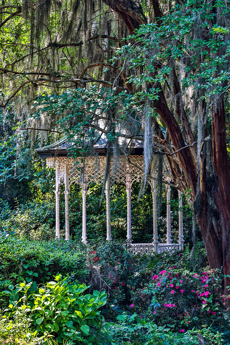 USA, South Carolina, Charleston. Magnolia Plantation