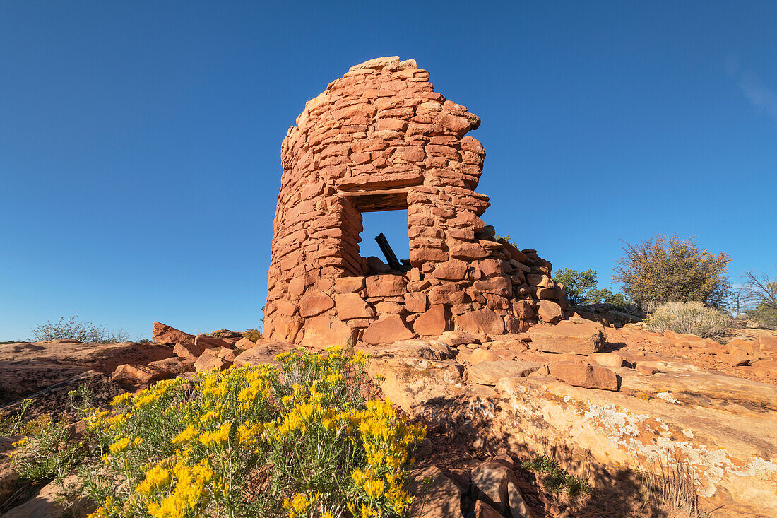 Höhlentürme Ruinen Cedar Mesa Bears Ears National Monument, Utah
